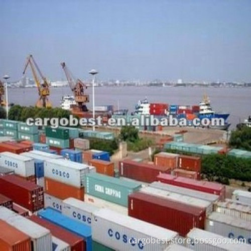 ocean freight forwarding Agency from Ningbo to Durban/Cape Town South Africa-DIANA